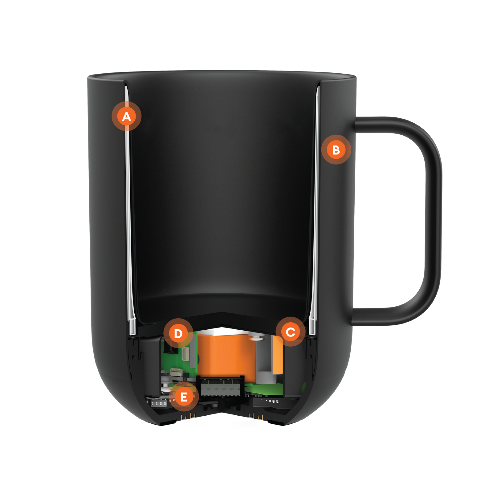 Cutaway of the Ember Mug² showcasing the advanced technology of the internal components